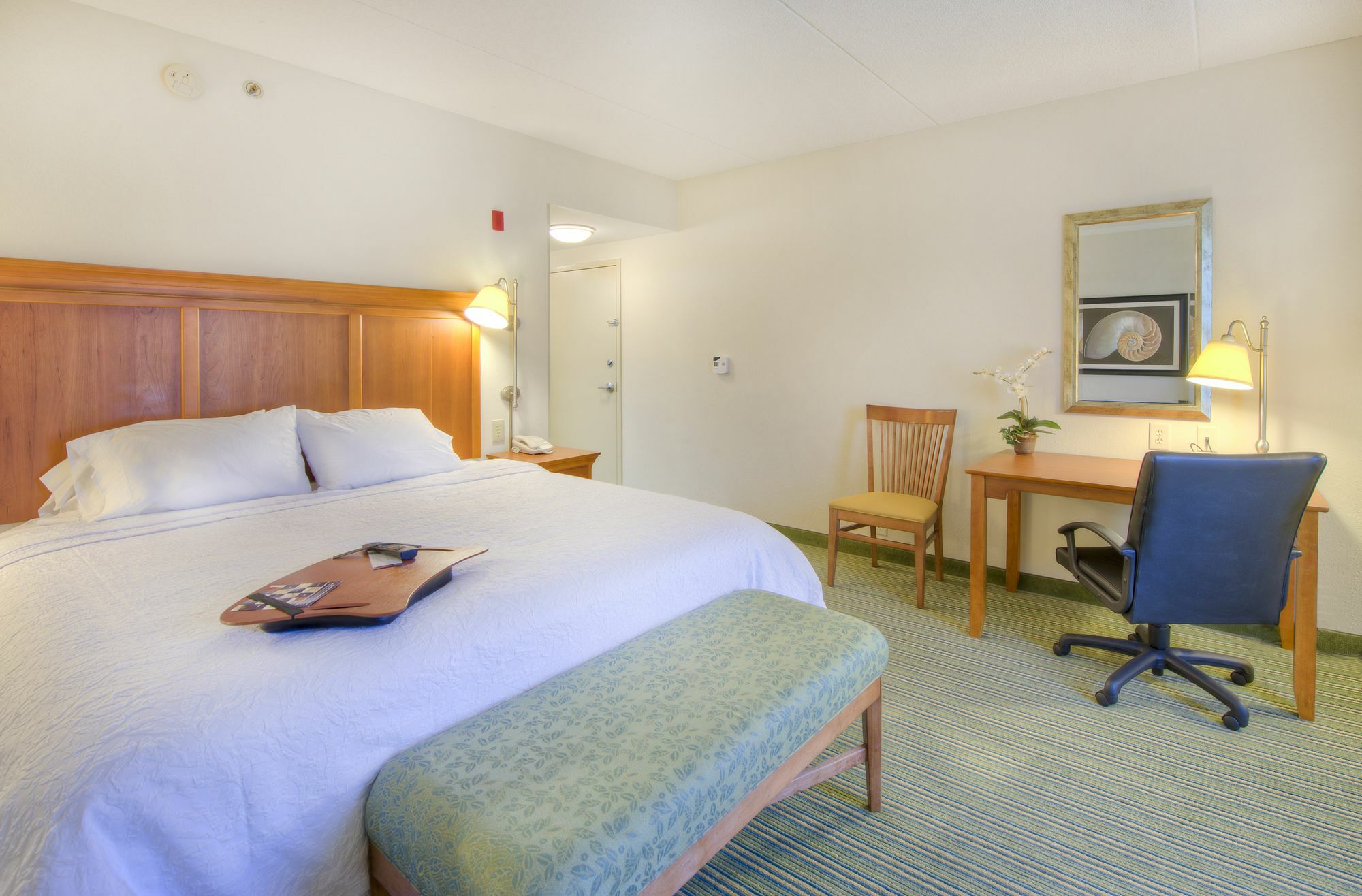 Hampton Inn Wilmington University Area Extérieur photo